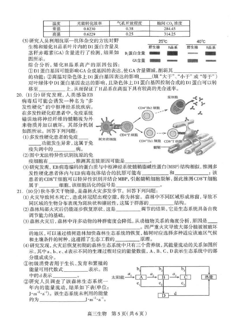 2025届河北省石家庄市普通高中毕业年级教学质量检测（一）生物试卷（含答案）_2025年3月_250312河北省石家庄市2025届高三教学质量检测（一）（全科）