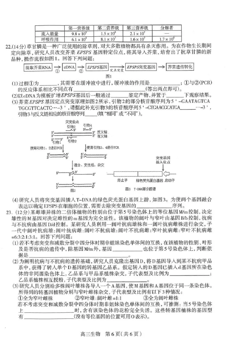 2025届河北省石家庄市普通高中毕业年级教学质量检测（一）生物试卷（含答案）_2025年3月_250312河北省石家庄市2025届高三教学质量检测（一）（全科）