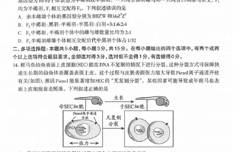 2025届河北省石家庄市普通高中毕业年级教学质量检测（一）生物试卷（含答案）_2025年3月_250312河北省石家庄市2025届高三教学质量检测（一）（全科）