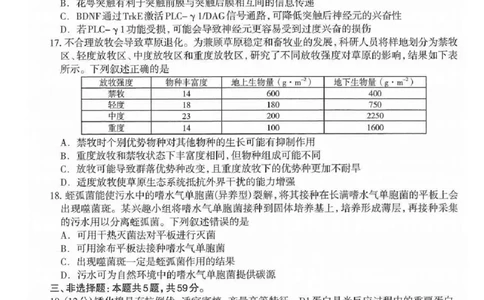 2025届河北省石家庄市普通高中毕业年级教学质量检测（一）生物试卷（含答案）_2025年3月_250312河北省石家庄市2025届高三教学质量检测（一）（全科）