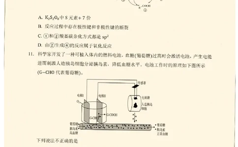 云南省丽江地区中学等学校2026届高三上学期阶段性教学水平诊断检测（一）化学试题（含答案）_2025年8月_250813云南省临沧地区中学2026届高三上学期入学模拟检测