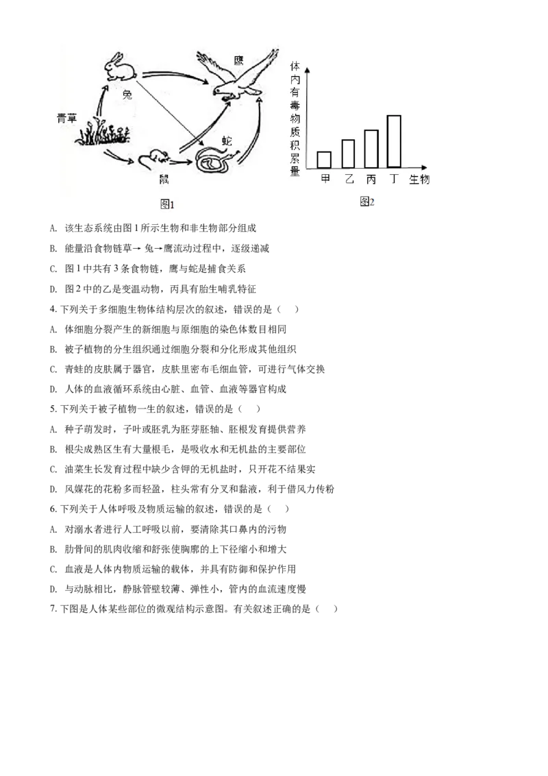 精品解析：山东省泰安市2021年中考生物试题（原卷版）_中考真题_8.生物中考真题2015-2024年_2021中考生物真题64份_2021山东省_精品解析：山东省泰安市2021年中考生物试题