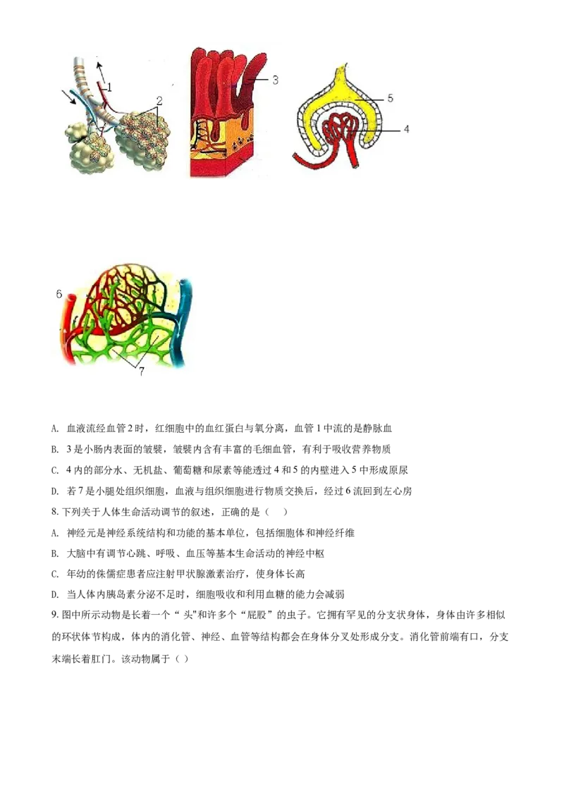 精品解析：山东省泰安市2021年中考生物试题（原卷版）_中考真题_8.生物中考真题2015-2024年_2021中考生物真题64份_2021山东省_精品解析：山东省泰安市2021年中考生物试题