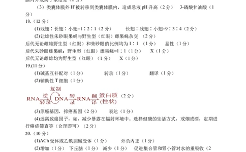 2025届高三第五次月考生物试卷答案_2025年1月_250102宁夏银川一中2025届高三上学期第五次月考（全科）_宁夏银川一中2025届高三上学期第五次月考生物