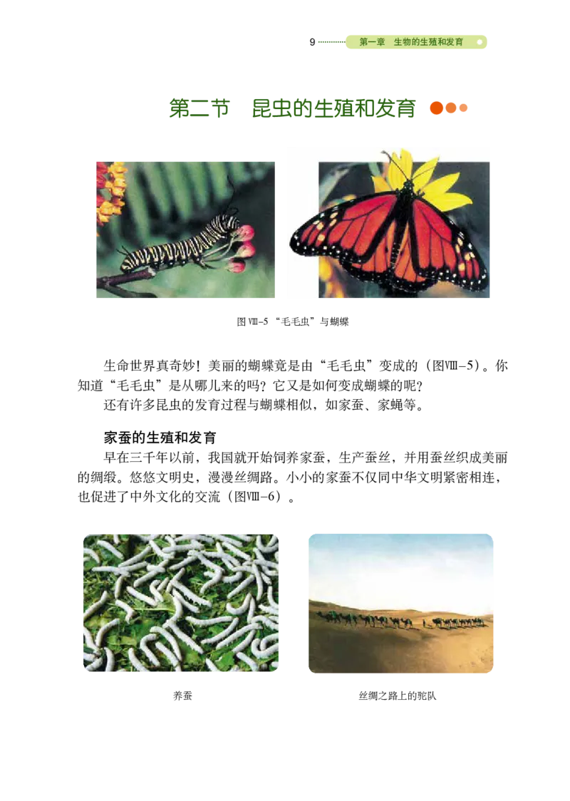 鲁教版8年级生物下册高清教材_4-教培资料-26年最新资料-同步更新_初中高中教资_03科三专项（进去保存报考的学科即可）_02科三专项（笔记真题思维导图教学设计版本二）