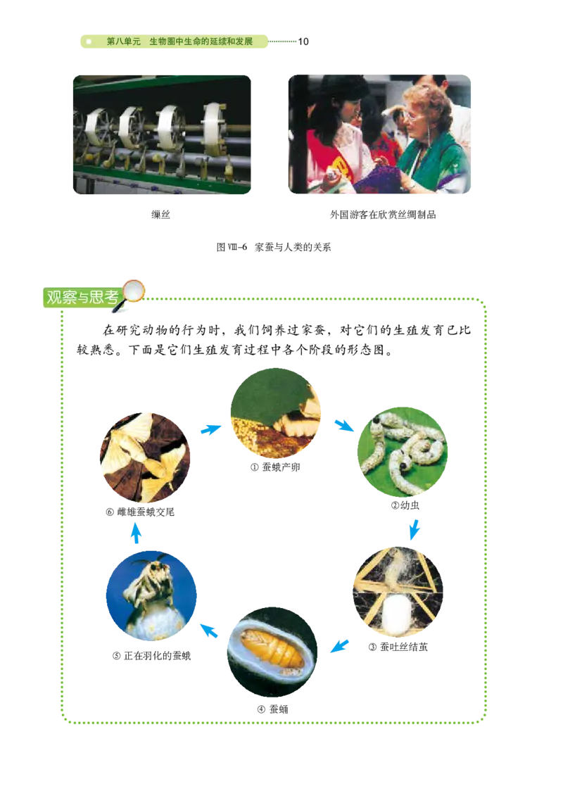 鲁教版8年级生物下册高清教材_4-教培资料-26年最新资料-同步更新_初中高中教资_03科三专项（进去保存报考的学科即可）_02科三专项（笔记真题思维导图教学设计版本二）