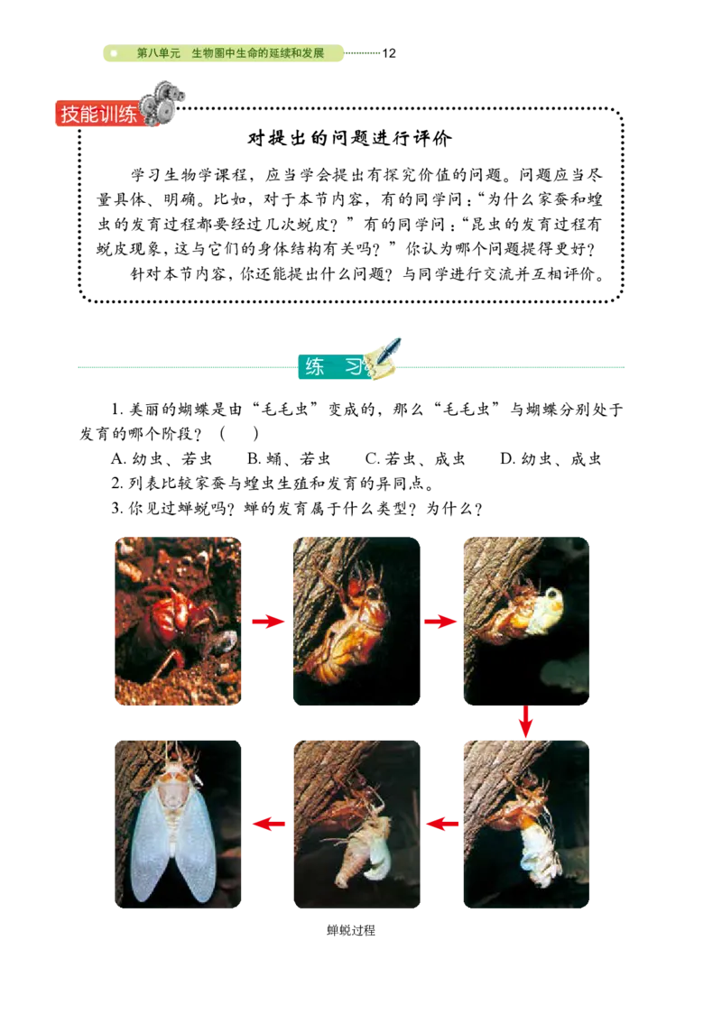 鲁教版8年级生物下册高清教材_4-教培资料-26年最新资料-同步更新_初中高中教资_03科三专项（进去保存报考的学科即可）_02科三专项（笔记真题思维导图教学设计版本二）