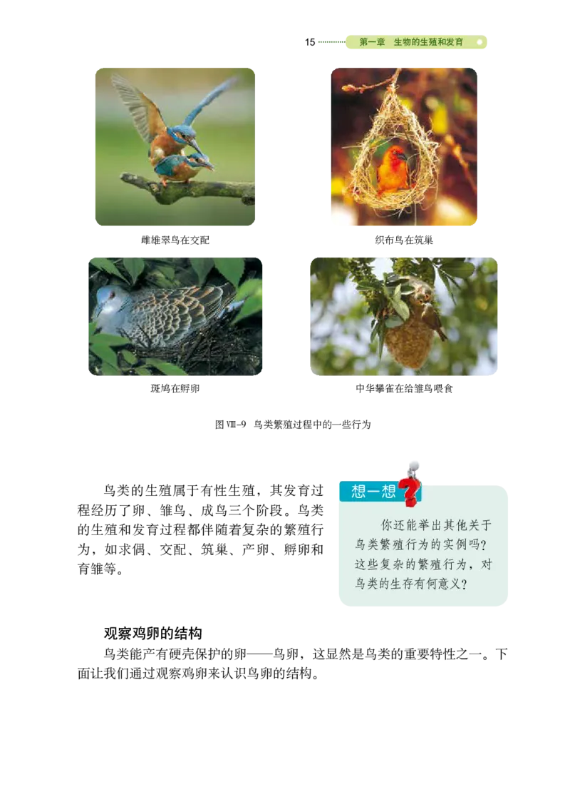 鲁教版8年级生物下册高清教材_4-教培资料-26年最新资料-同步更新_初中高中教资_03科三专项（进去保存报考的学科即可）_02科三专项（笔记真题思维导图教学设计版本二）