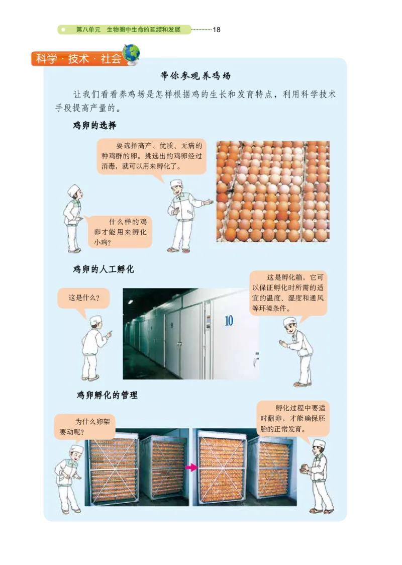 鲁教版8年级生物下册高清教材_4-教培资料-26年最新资料-同步更新_初中高中教资_03科三专项（进去保存报考的学科即可）_02科三专项（笔记真题思维导图教学设计版本二）