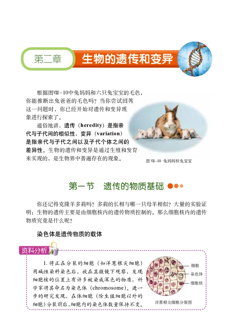 鲁教版8年级生物下册高清教材_4-教培资料-26年最新资料-同步更新_初中高中教资_03科三专项（进去保存报考的学科即可）_02科三专项（笔记真题思维导图教学设计版本二）