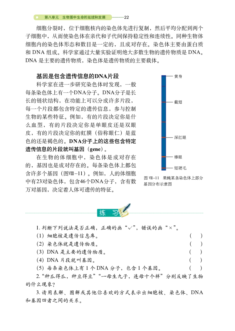 鲁教版8年级生物下册高清教材_4-教培资料-26年最新资料-同步更新_初中高中教资_03科三专项（进去保存报考的学科即可）_02科三专项（笔记真题思维导图教学设计版本二）
