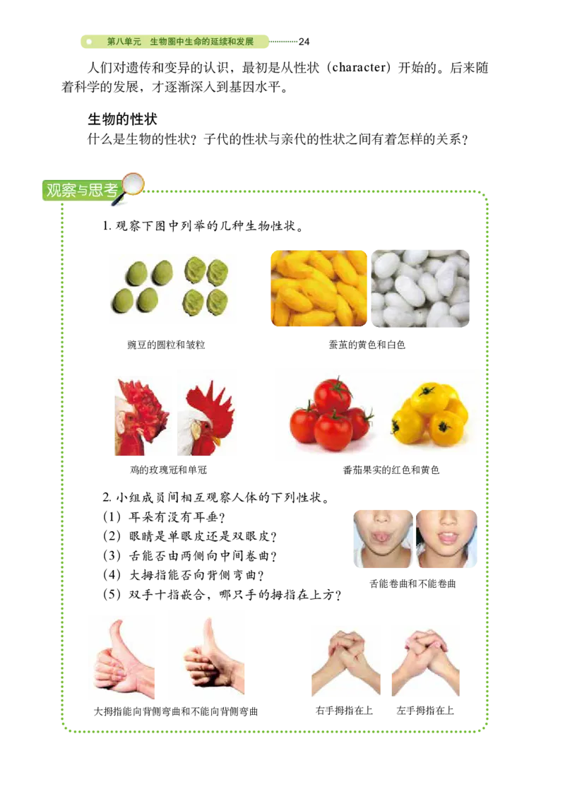 鲁教版8年级生物下册高清教材_4-教培资料-26年最新资料-同步更新_初中高中教资_03科三专项（进去保存报考的学科即可）_02科三专项（笔记真题思维导图教学设计版本二）