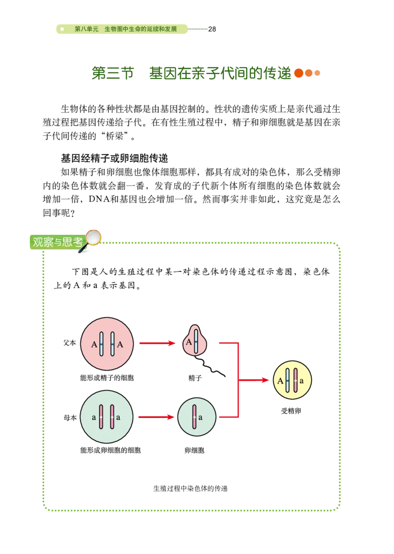 鲁教版8年级生物下册高清教材_4-教培资料-26年最新资料-同步更新_初中高中教资_03科三专项（进去保存报考的学科即可）_02科三专项（笔记真题思维导图教学设计版本二）