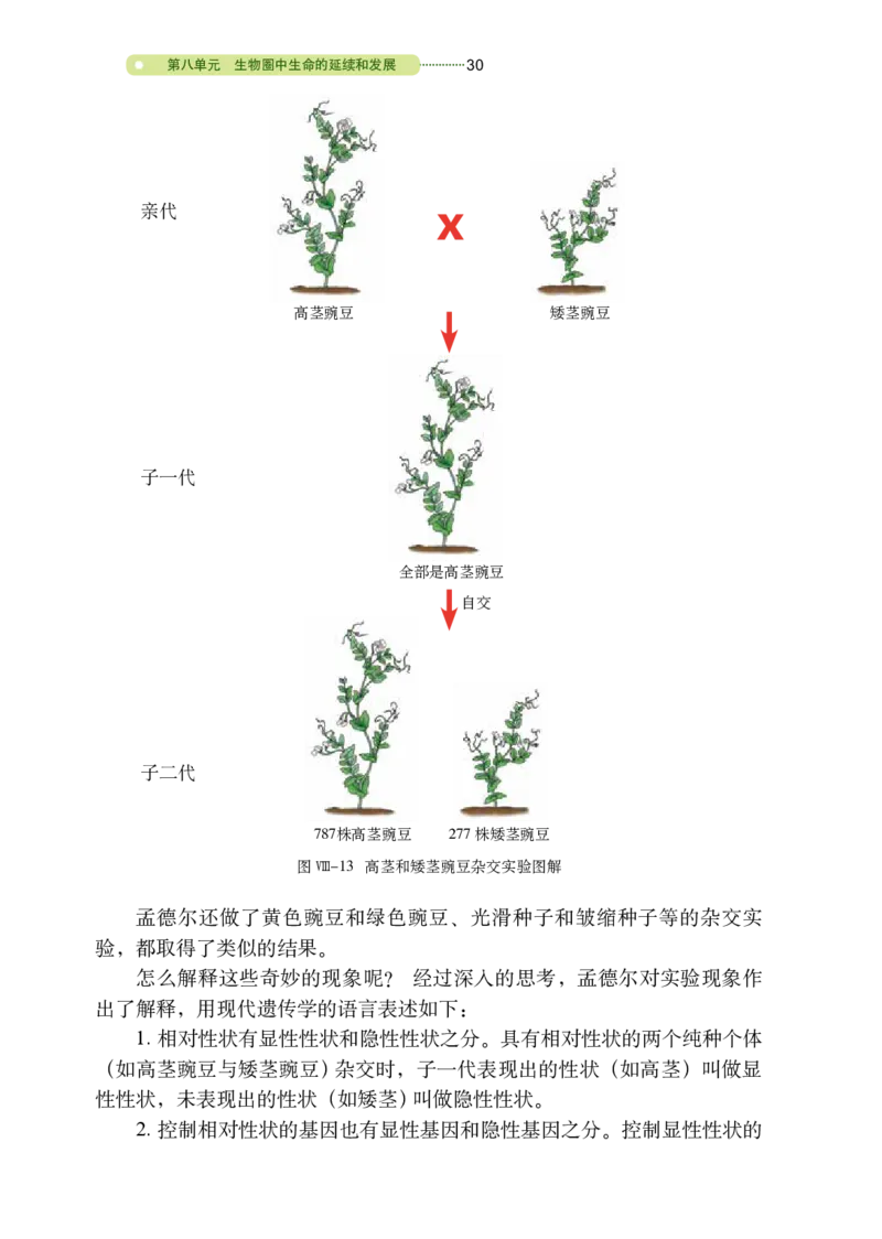 鲁教版8年级生物下册高清教材_4-教培资料-26年最新资料-同步更新_初中高中教资_03科三专项（进去保存报考的学科即可）_02科三专项（笔记真题思维导图教学设计版本二）