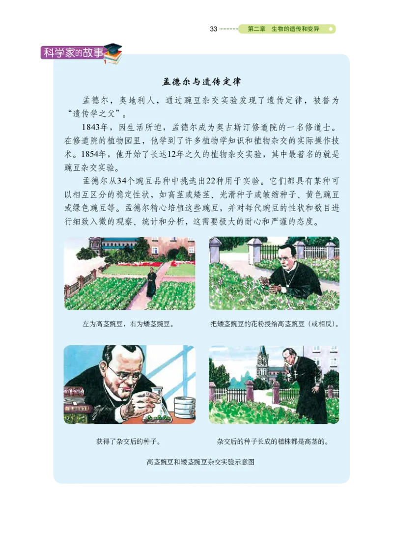 鲁教版8年级生物下册高清教材_4-教培资料-26年最新资料-同步更新_初中高中教资_03科三专项（进去保存报考的学科即可）_02科三专项（笔记真题思维导图教学设计版本二）
