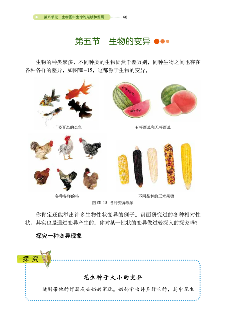 鲁教版8年级生物下册高清教材_4-教培资料-26年最新资料-同步更新_初中高中教资_03科三专项（进去保存报考的学科即可）_02科三专项（笔记真题思维导图教学设计版本二）