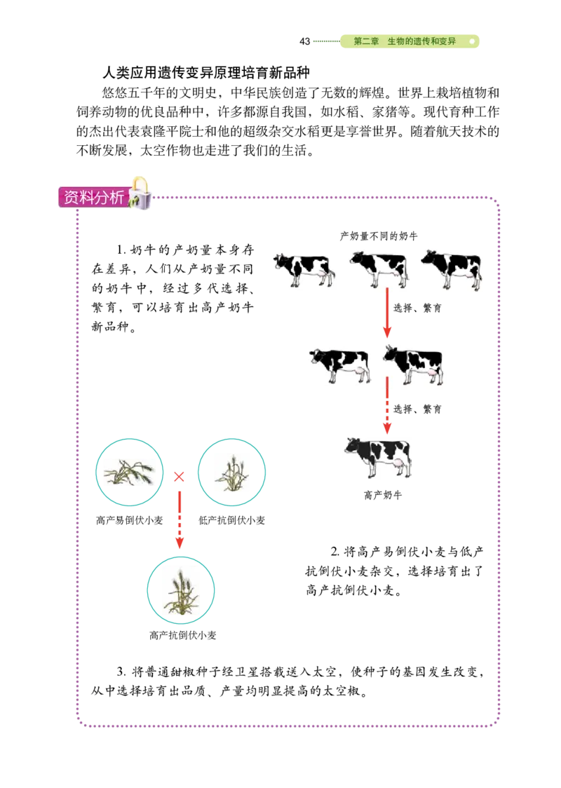 鲁教版8年级生物下册高清教材_4-教培资料-26年最新资料-同步更新_初中高中教资_03科三专项（进去保存报考的学科即可）_02科三专项（笔记真题思维导图教学设计版本二）