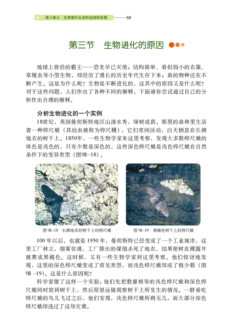 鲁教版8年级生物下册高清教材_4-教培资料-26年最新资料-同步更新_初中高中教资_03科三专项（进去保存报考的学科即可）_02科三专项（笔记真题思维导图教学设计版本二）