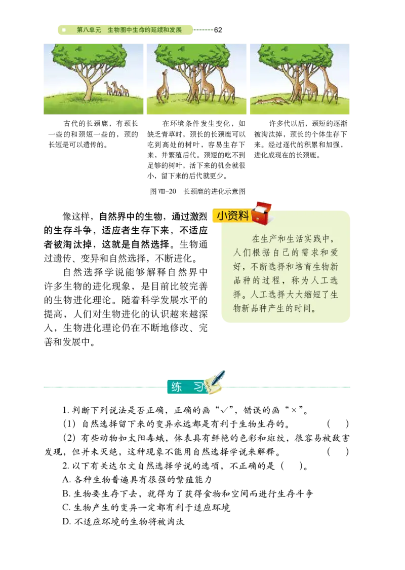 鲁教版8年级生物下册高清教材_4-教培资料-26年最新资料-同步更新_初中高中教资_03科三专项（进去保存报考的学科即可）_02科三专项（笔记真题思维导图教学设计版本二）