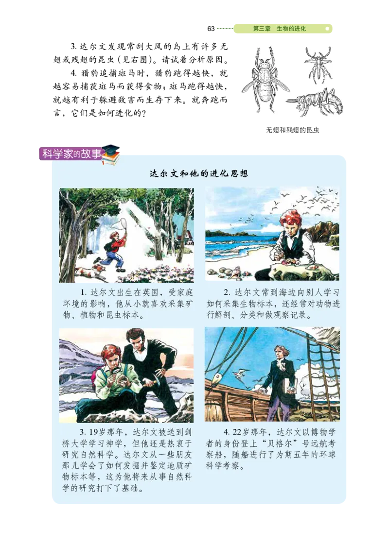 鲁教版8年级生物下册高清教材_4-教培资料-26年最新资料-同步更新_初中高中教资_03科三专项（进去保存报考的学科即可）_02科三专项（笔记真题思维导图教学设计版本二）