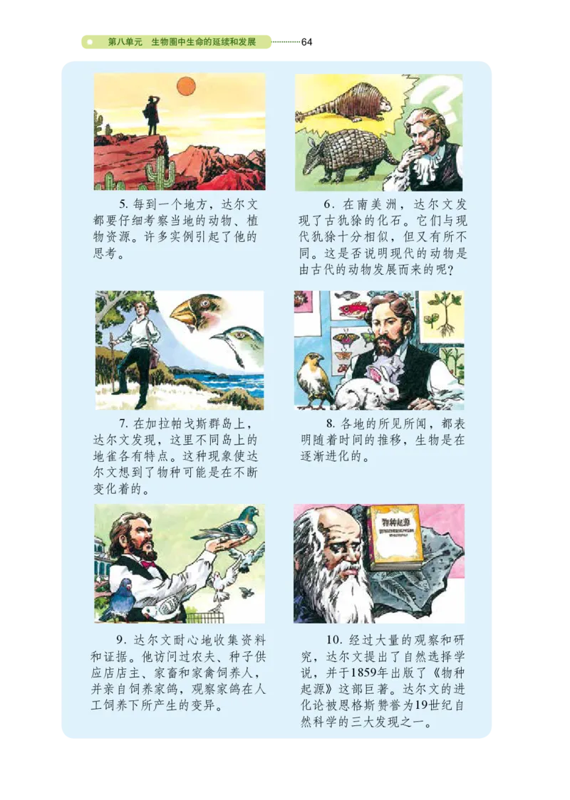 鲁教版8年级生物下册高清教材_4-教培资料-26年最新资料-同步更新_初中高中教资_03科三专项（进去保存报考的学科即可）_02科三专项（笔记真题思维导图教学设计版本二）