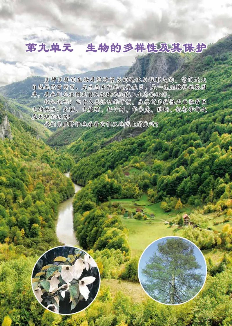 鲁教版8年级生物下册高清教材_4-教培资料-26年最新资料-同步更新_初中高中教资_03科三专项（进去保存报考的学科即可）_02科三专项（笔记真题思维导图教学设计版本二）