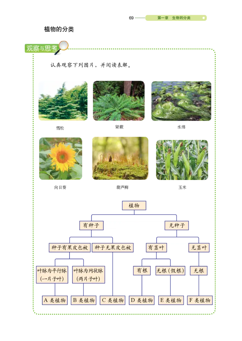 鲁教版8年级生物下册高清教材_4-教培资料-26年最新资料-同步更新_初中高中教资_03科三专项（进去保存报考的学科即可）_02科三专项（笔记真题思维导图教学设计版本二）