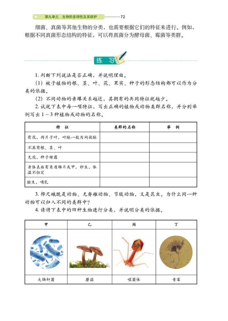 鲁教版8年级生物下册高清教材_4-教培资料-26年最新资料-同步更新_初中高中教资_03科三专项（进去保存报考的学科即可）_02科三专项（笔记真题思维导图教学设计版本二）