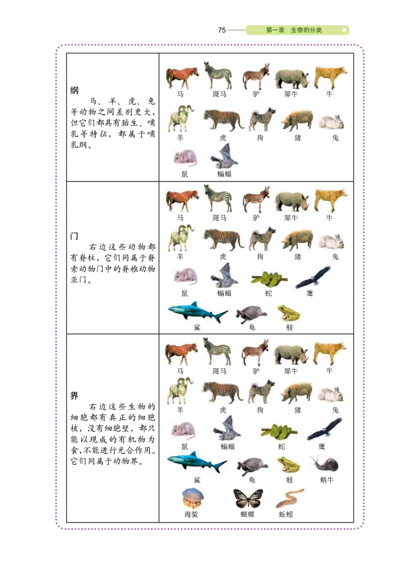 鲁教版8年级生物下册高清教材_4-教培资料-26年最新资料-同步更新_初中高中教资_03科三专项（进去保存报考的学科即可）_02科三专项（笔记真题思维导图教学设计版本二）