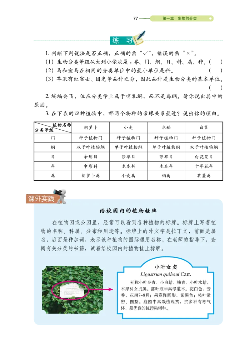 鲁教版8年级生物下册高清教材_4-教培资料-26年最新资料-同步更新_初中高中教资_03科三专项（进去保存报考的学科即可）_02科三专项（笔记真题思维导图教学设计版本二）
