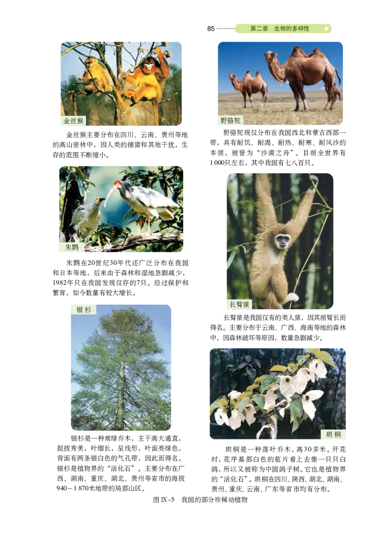 鲁教版8年级生物下册高清教材_4-教培资料-26年最新资料-同步更新_初中高中教资_03科三专项（进去保存报考的学科即可）_02科三专项（笔记真题思维导图教学设计版本二）