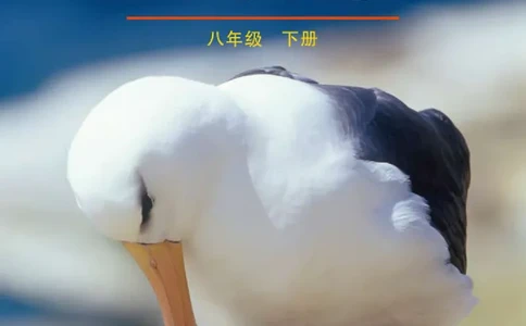 鲁教版8年级生物下册高清教材_4-教培资料-26年最新资料-同步更新_初中高中教资_03科三专项（进去保存报考的学科即可）_02科三专项（笔记真题思维导图教学设计版本二）