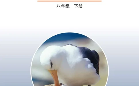 鲁教版8年级生物下册高清教材_4-教培资料-26年最新资料-同步更新_初中高中教资_03科三专项（进去保存报考的学科即可）_02科三专项（笔记真题思维导图教学设计版本二）