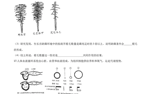 精品解析：北京市2020年八年级中考生物试题（原卷版）_中考真题_8.生物中考真题2015-2024年_2020生物真题74份_2020年中考真题精品解析生物（北京卷）精编word版