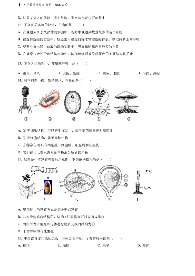 精品解析：湖南省张家界市2022年中考真题（原卷版）_中考真题_8.生物中考真题2015-2024年_2022年全国中考生物114份14