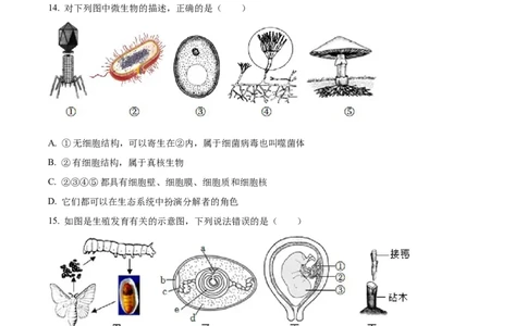 精品解析：湖南省张家界市2022年中考真题（原卷版）_中考真题_8.生物中考真题2015-2024年_2022年全国中考生物114份14