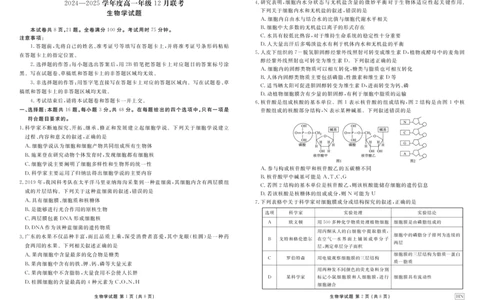 生物正文_1多考区联考试卷_1222衡水金卷&middot;2024-2025学年度高一年级12月联考_生物