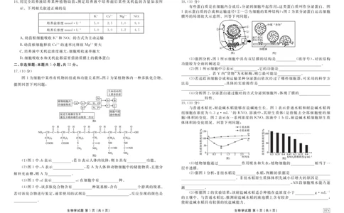 生物正文_1多考区联考试卷_1222衡水金卷&middot;2024-2025学年度高一年级12月联考_生物