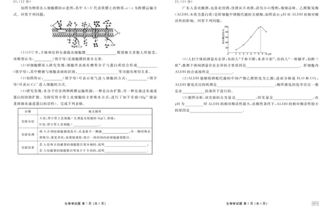 生物正文_1多考区联考试卷_1222衡水金卷&middot;2024-2025学年度高一年级12月联考_生物