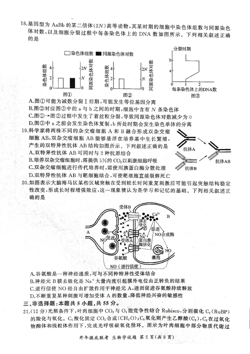 2025年辽宁百师联盟高三生物试题-3月_2025年3月_250305辽宁省百师联盟高三开年考试（全科）