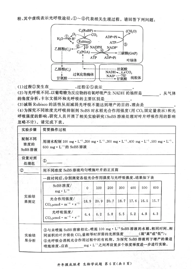 2025年辽宁百师联盟高三生物试题-3月_2025年3月_250305辽宁省百师联盟高三开年考试（全科）