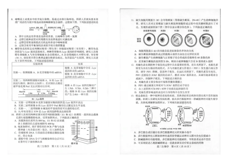 2025届福建省龙岩市高三下学期高中毕业班3月教学质量检测生物试题（扫描版有答案）_2025年3月_250310福建省龙岩市2025届高三下学期3月教学质量检测（全科）
