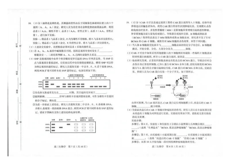 2025届福建省龙岩市高三下学期高中毕业班3月教学质量检测生物试题（扫描版有答案）_2025年3月_250310福建省龙岩市2025届高三下学期3月教学质量检测（全科）