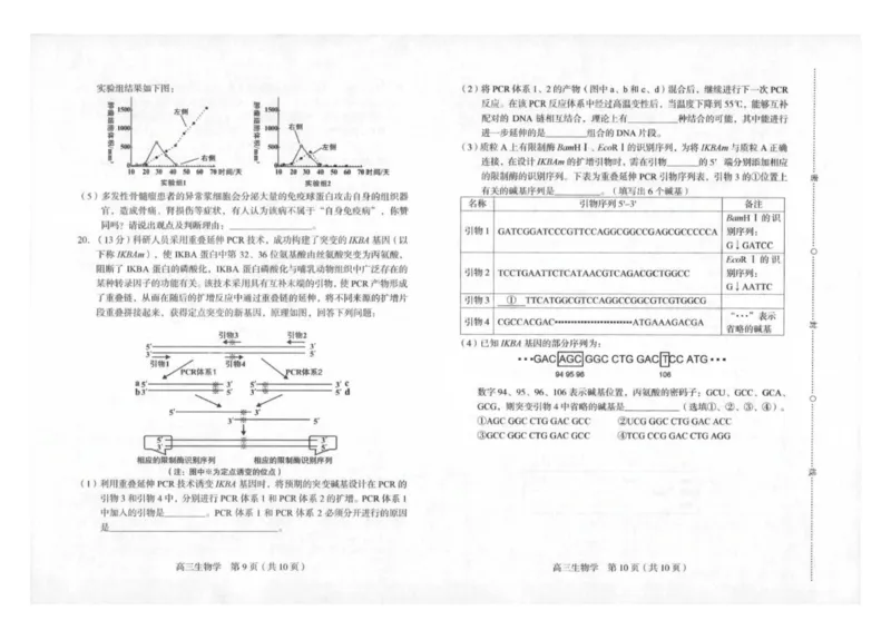 2025届福建省龙岩市高三下学期高中毕业班3月教学质量检测生物试题（扫描版有答案）_2025年3月_250310福建省龙岩市2025届高三下学期3月教学质量检测（全科）