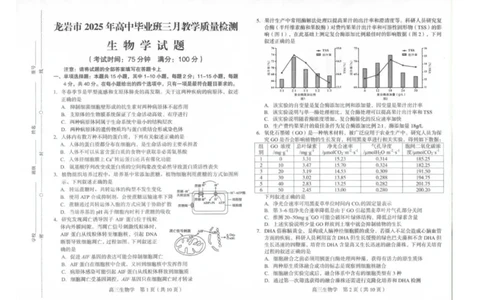 2025届福建省龙岩市高三下学期高中毕业班3月教学质量检测生物试题（扫描版有答案）_2025年3月_250310福建省龙岩市2025届高三下学期3月教学质量检测（全科）