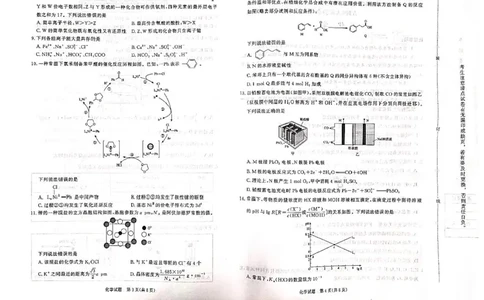 2025届高三下学期5月青桐鸣大联考化学试卷+答案_2025年5月_2505112025届高三下学期5月青桐鸣大联考