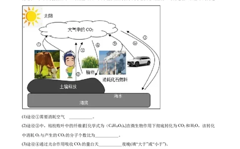 精品解析：四川省泸州市2021年中考化学试题（原卷版）_中考真题_5.化学中考真题2015-2024年_地区卷_四川省_四川泸州化学12-22