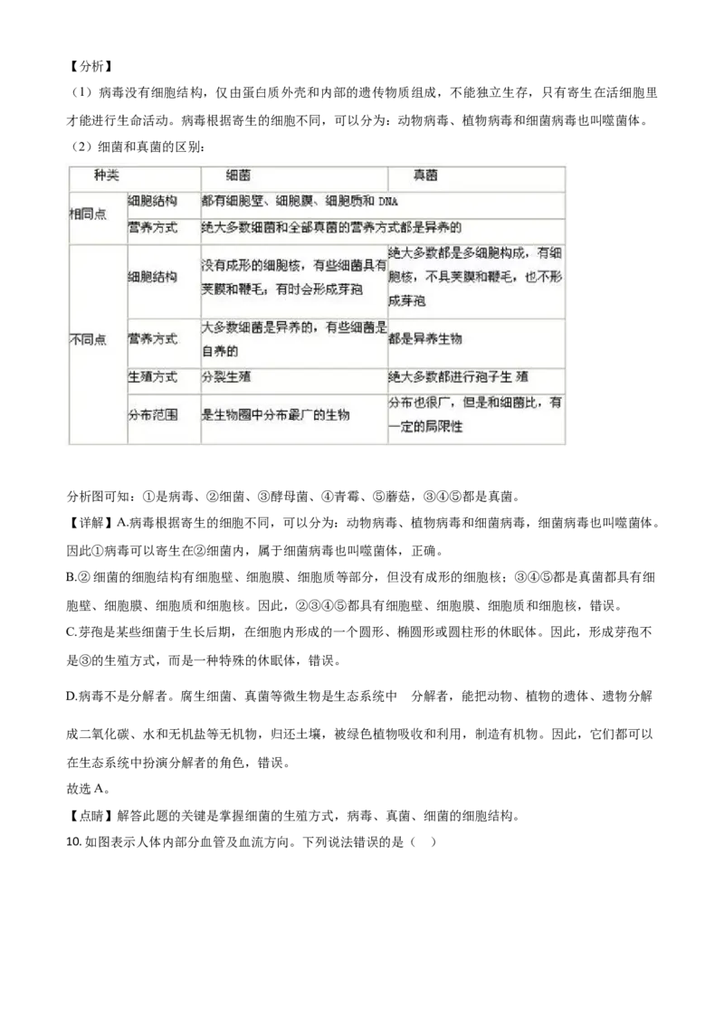 精品解析：山东省菏泽市2020年中考生物试题（解析版）_中考真题_8.生物中考真题2015-2024年_2020生物真题74份_2020年中考真题精品解析生物（山东菏泽卷）精编word版