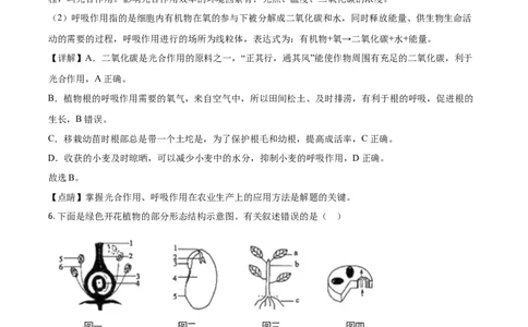 精品解析：山东省菏泽市2020年中考生物试题（解析版）_中考真题_8.生物中考真题2015-2024年_2020生物真题74份_2020年中考真题精品解析生物（山东菏泽卷）精编word版