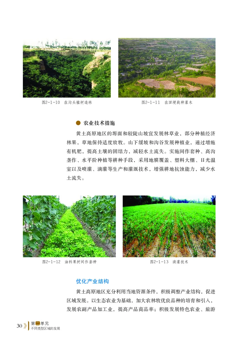 鲁教版地理选修第二册高清教材_4-教培资料-26年最新资料-同步更新_初中高中教资_03科三专项（进去保存报考的学科即可）_02科三专项（笔记真题思维导图教学设计版本二）